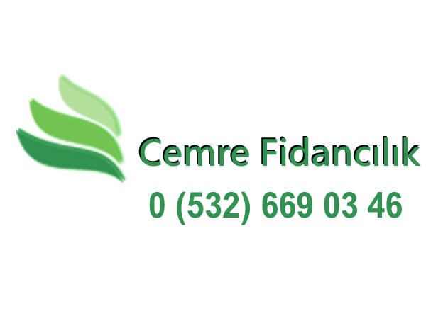 Cemre Fidancılık ve Çiçekçilik