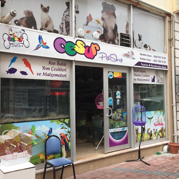 Cesur Petshop