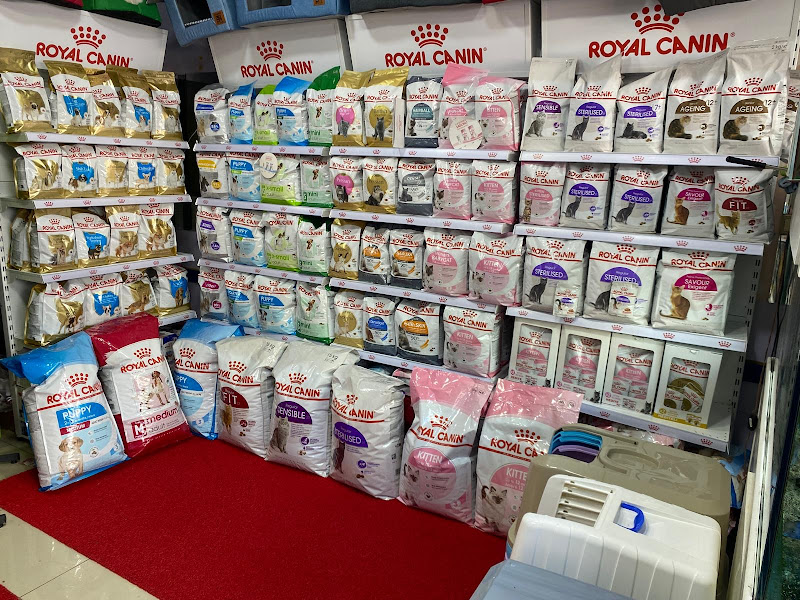 Cesur Petshop Store