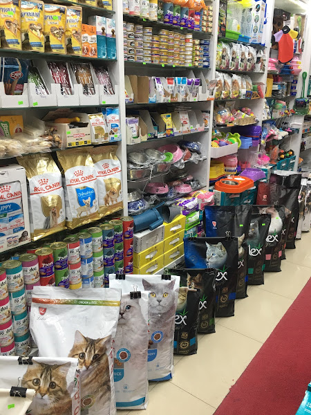 ÇiPet Petshop Sivas