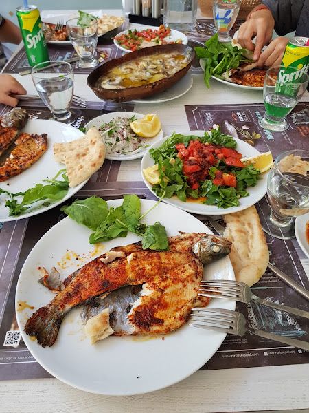Çırçır Şelalesi Keban Alabalık Tesisleri