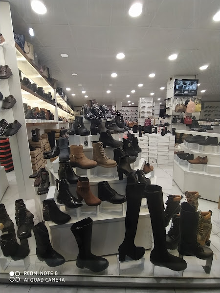 ÇİZGİ AYAKKABI ÇANTA