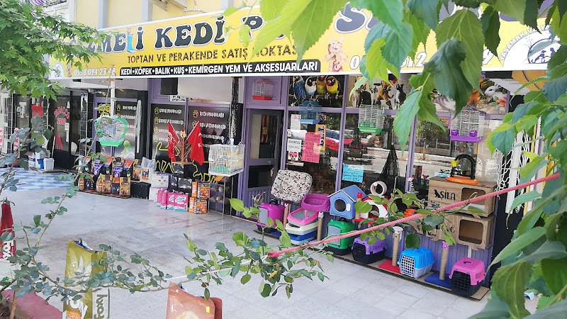Çizmeli Kedi Pet Shop