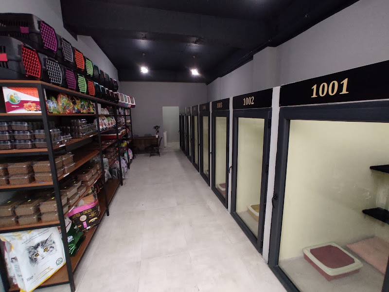 Çizmeli Kedi Petshop & Kedi Oteli - Kedi Pansiyonu