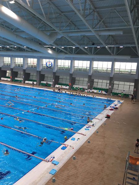 Çotanak Seka Olimpik Yüzme Havuzu