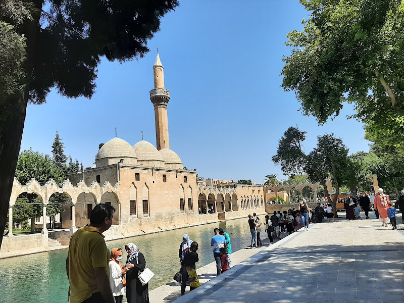 Çukurova Gezi Kulübü