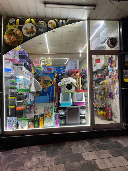 Çunar Pet Shop Aruaryum