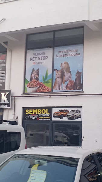 Dağ besicilik
