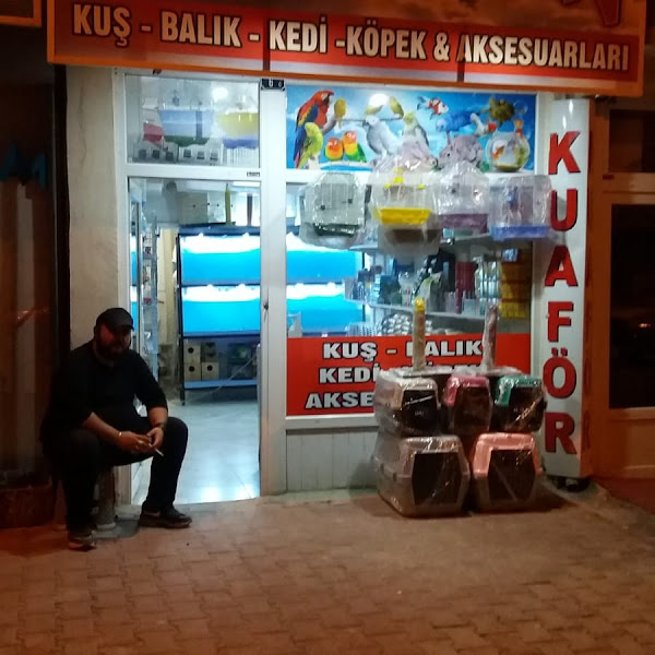 Dalyan Petshop