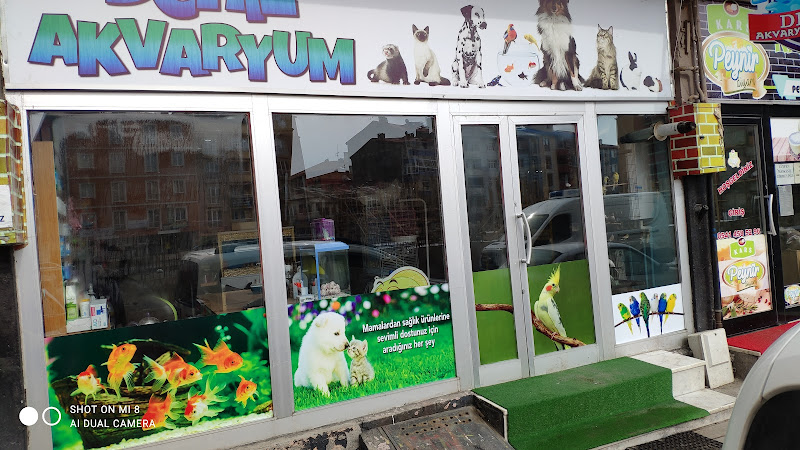 Deniz Akvaryum&Petshop
