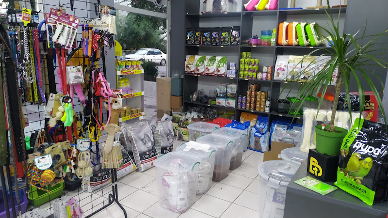 Denizer Pet Store | Petshop Antalya Alo Mama