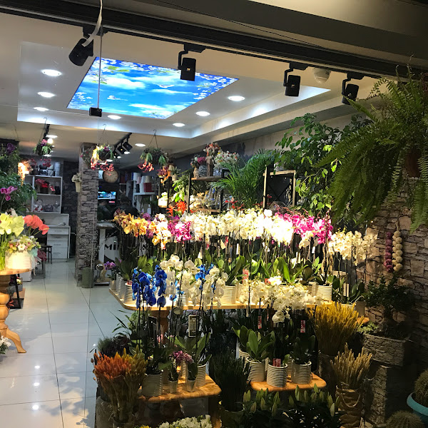 Denizli Mimoza Çiçekçilik - Denizli Çiçek Siparişi