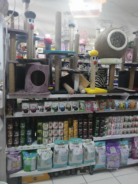 Denizli Twenty Petshop