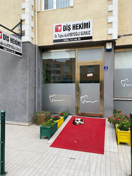 Dent Assos Ağız ve Diş Sağlığı Polikliniği