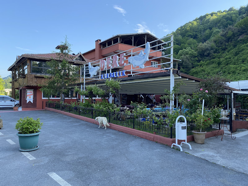 Dere Restoran Alabalık