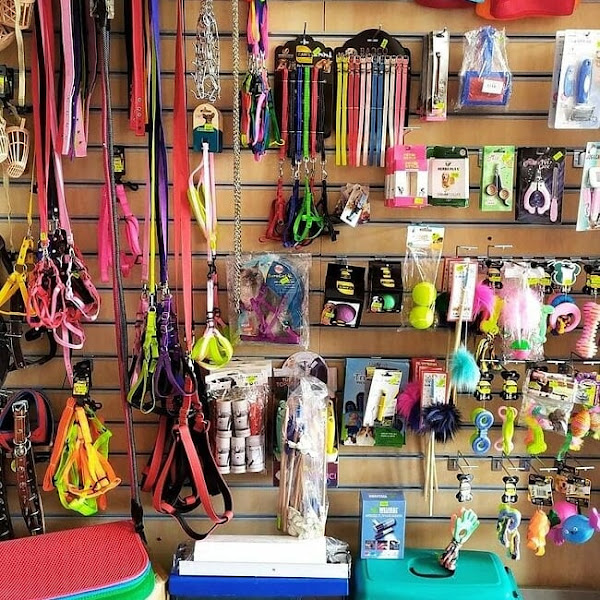 Derin Petshop