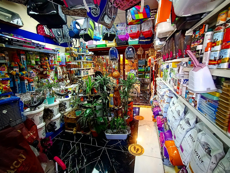 Destan Akvaryum ve pet Market
