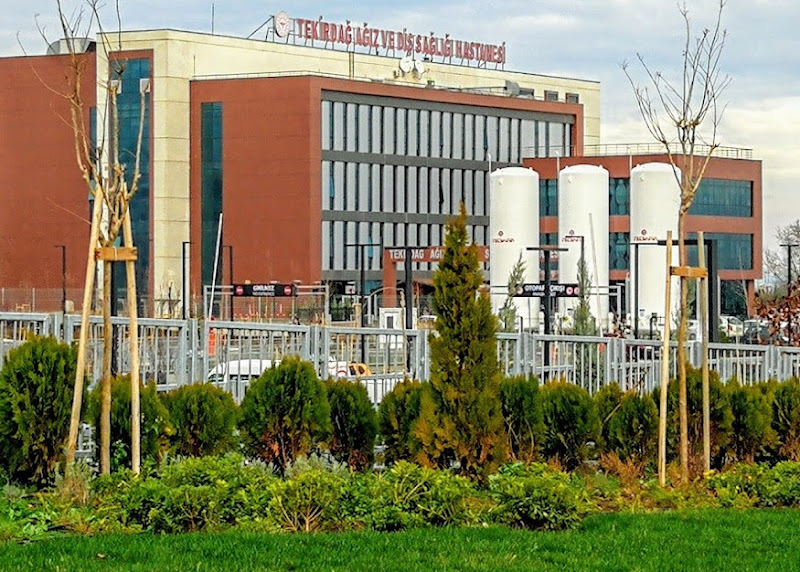 Diş hekimi Mahmut Ayzit