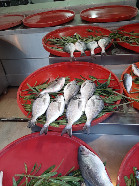 Diyarbakır Dicle Akarsu Balık