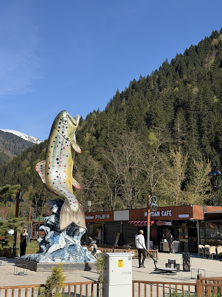 DOĞU ANKA TOURS