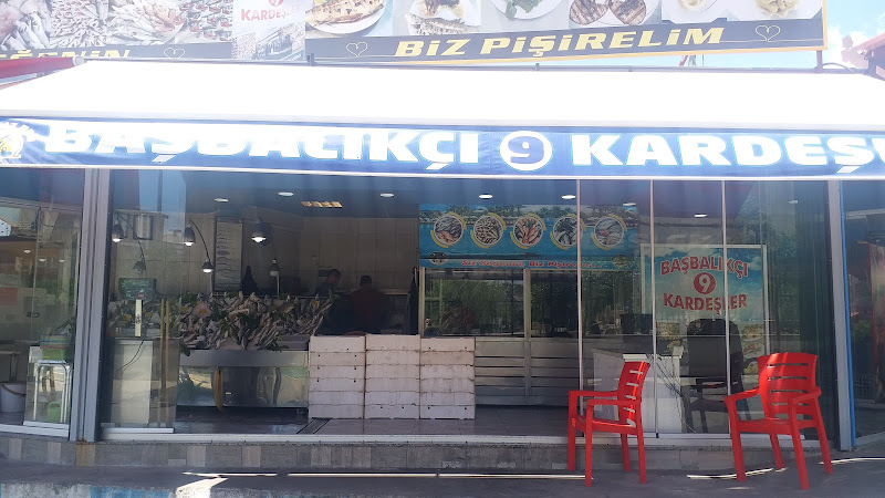 Dokuz kardeş Balıkçısı