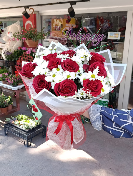 DOLUNAY ÇİÇEKÇİLİK SAMSUN
