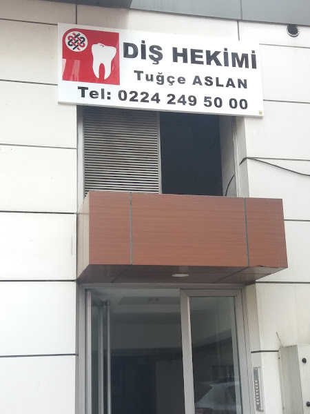 Dr. Deniz Noyun - Diş Eti Hastalıkları Uzmanı Bursa