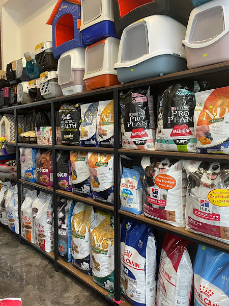 DREAM PET & AQUATIC - Eskişehir Pet Shop
