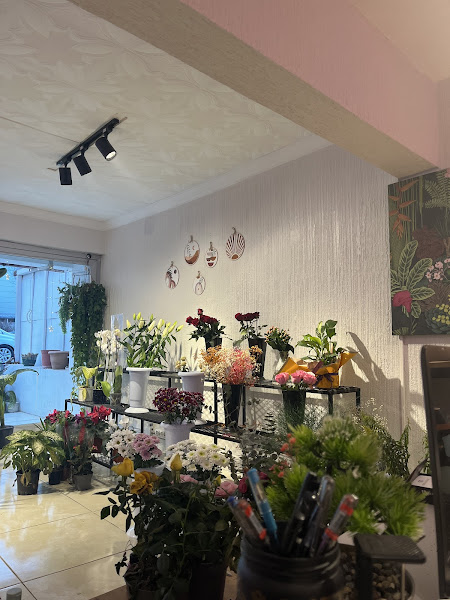 DRİTA FLOWERS | Sakarya Çiçekçilik