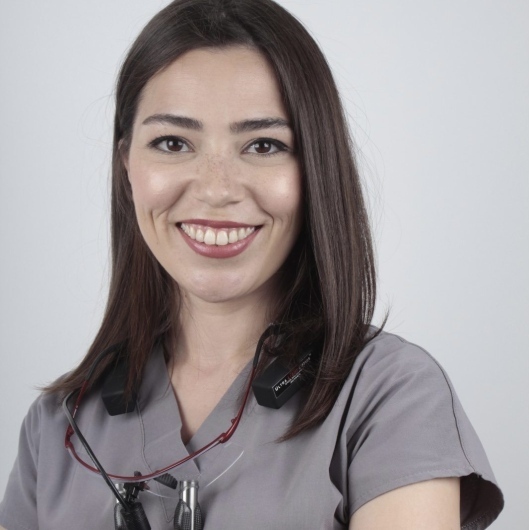 Dt. Aslı Özden Aydın, Diş Hekimi