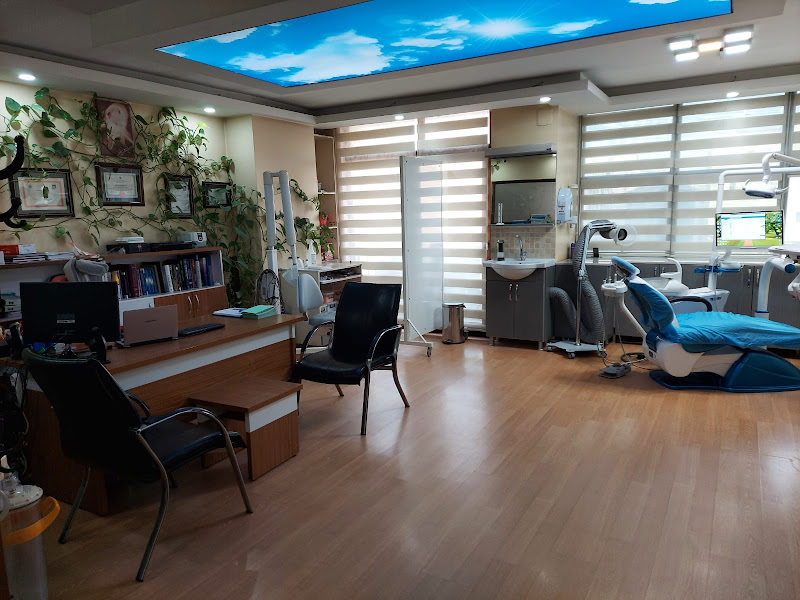 Dt. Emin Alagöz, Diş Hekimi