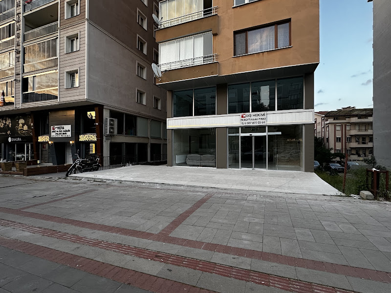 Dt. Rabia Nur Kara, Diş Hekimi