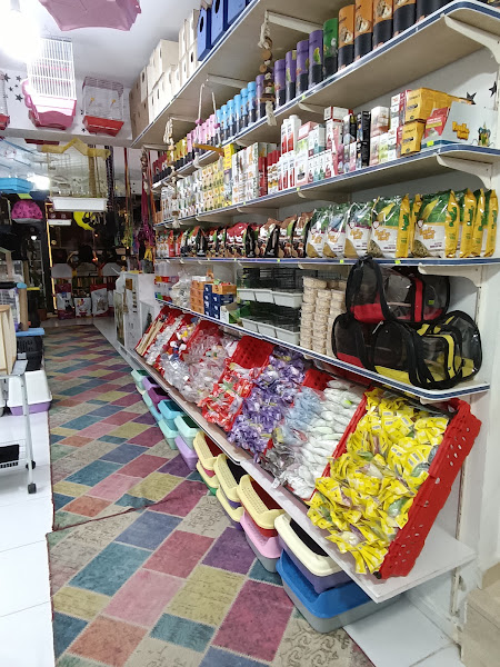Duygu Akvaryum