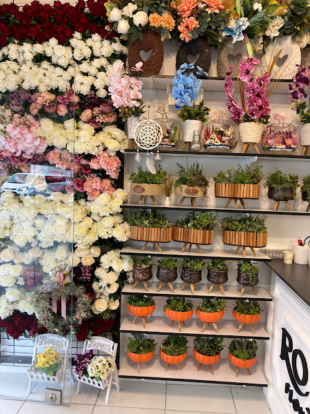 Düzce Rose Flowers Çiçek