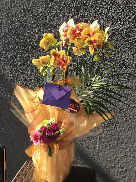Düzce Yaman Flowers & Çiçekçi