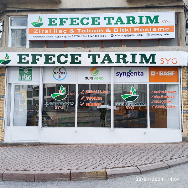 efecesygtarim