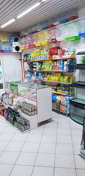 Ege petshop