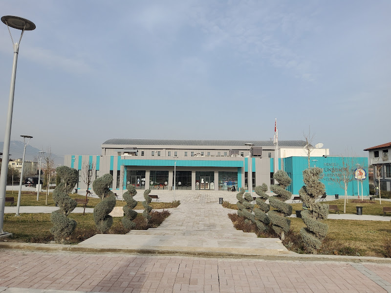 Ege Spor Kulübü Yüzme Eğitimi