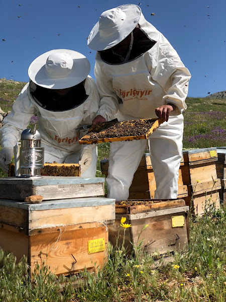 Eğriçayır Arı Ürünleri ( Bal Propolis Karakovan Arı Sütü Polen)