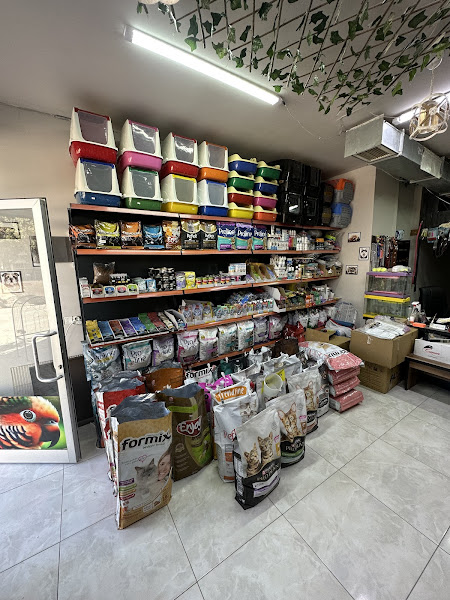Egzotik Petshop