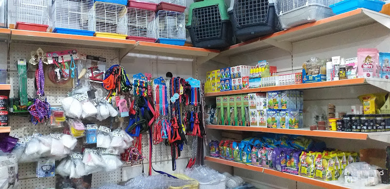 Egzotik Petshop Karaman