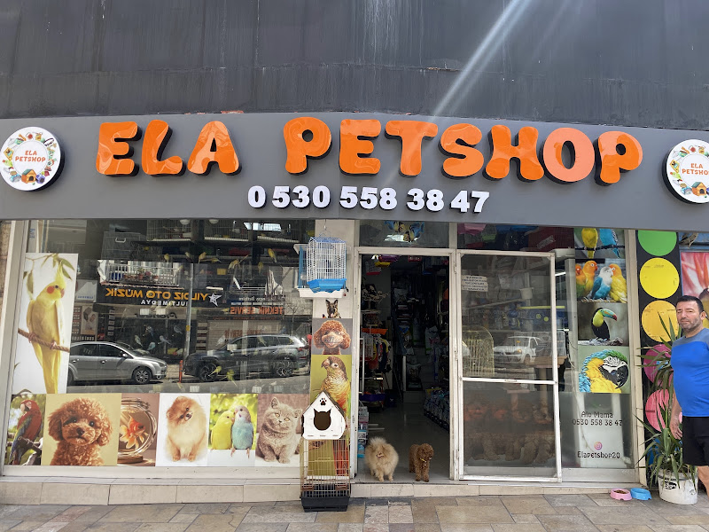 Ela Petshop