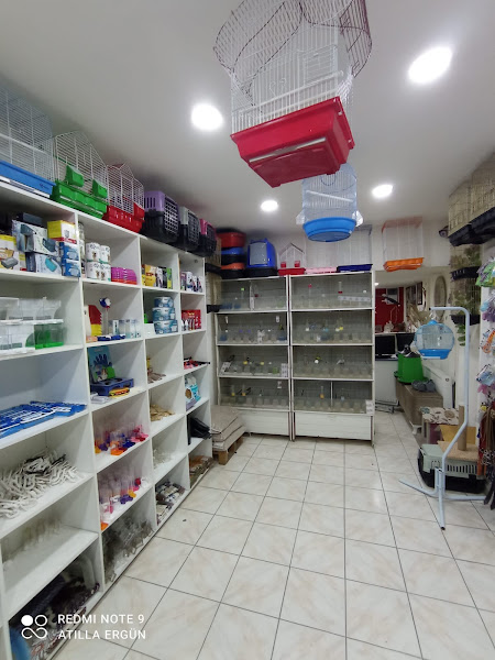 Elif petshop
