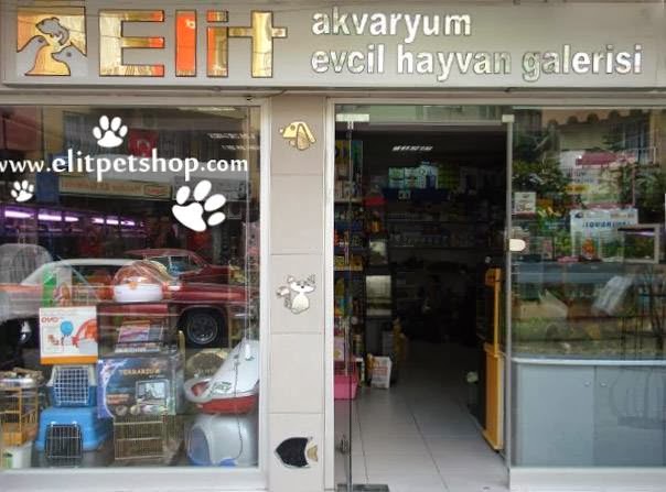 Elit Akvaryum Petshop