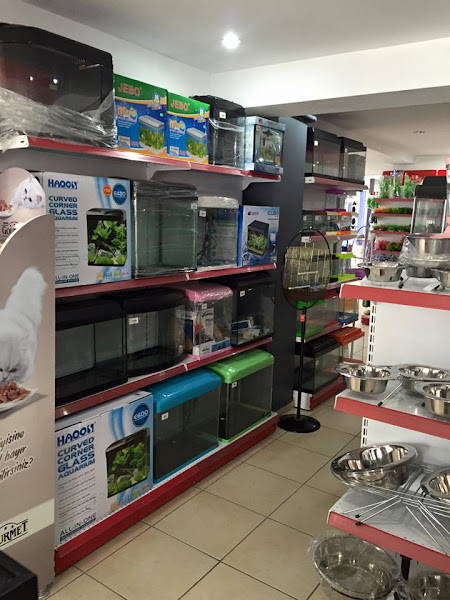 Elit Petshop Adalet Şubesi