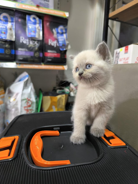 Empati petshop