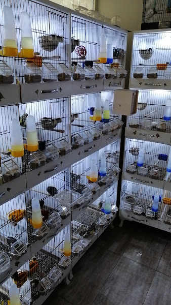 Emre Kuşcu Pet shop