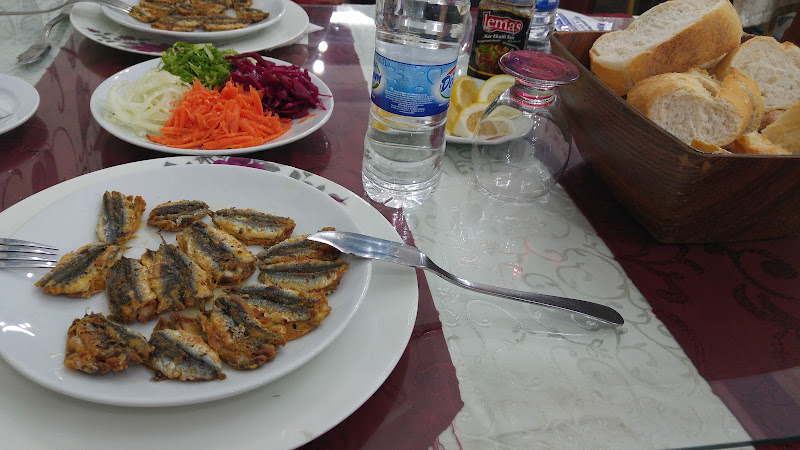 ERZURUM KARADENİZ BALIKCILIK VE TAR.LOK.NAK.İNŞ TAH.SAN.TİC LTD.ŞTİ