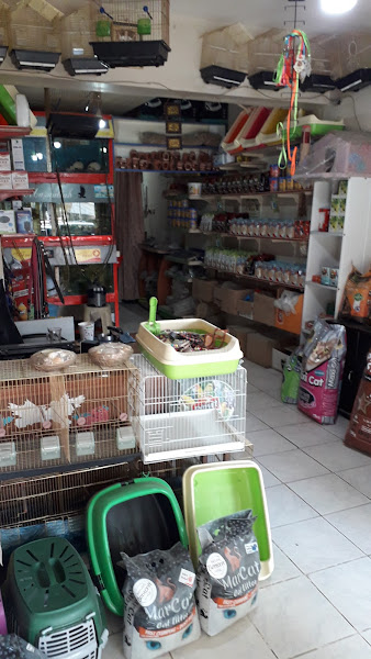 ESKA PETSHOP KUS AKVARYUM CENNETİ