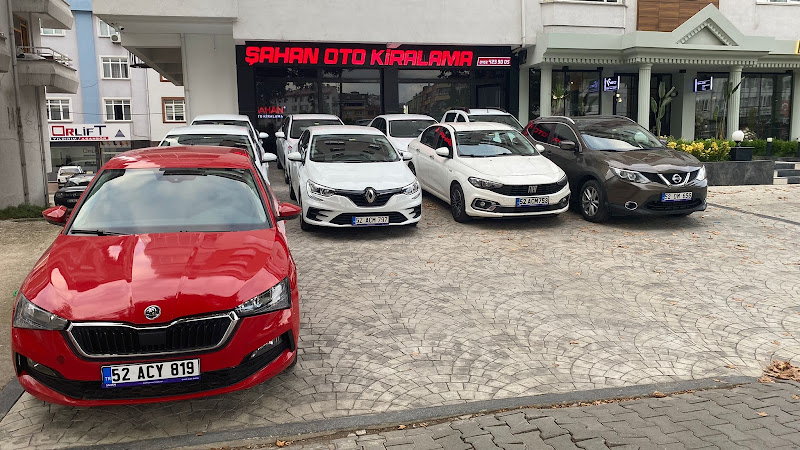 Europcar Ordu Havalimanı